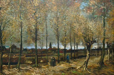 Cottage del tessitore da Vincent van Gogh
